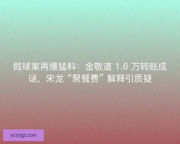 假球案再爆猛料：金敬道 1.6 万转账成谜，宋龙 “聚餐费” 解释引质疑