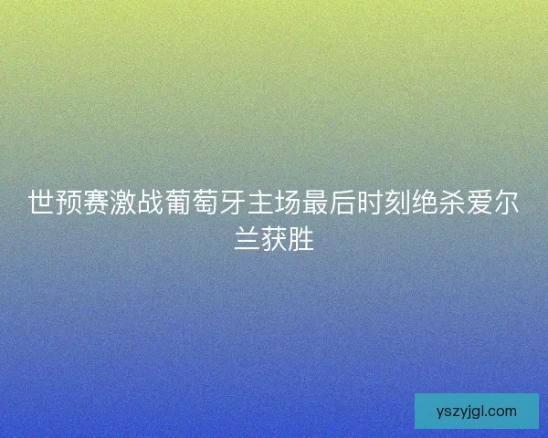 世预赛激战葡萄牙主场最后时刻绝杀爱尔兰获胜