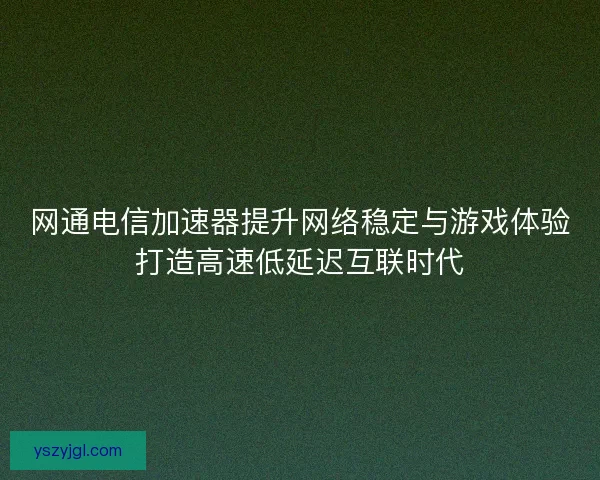 网通电信加速器提升网络稳定与游戏体验打造高速低延迟互联时代